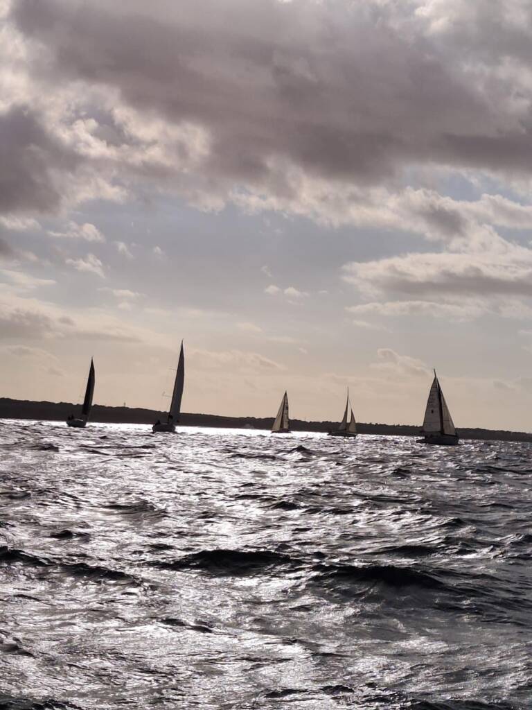 IMG-20251110-WA0009
