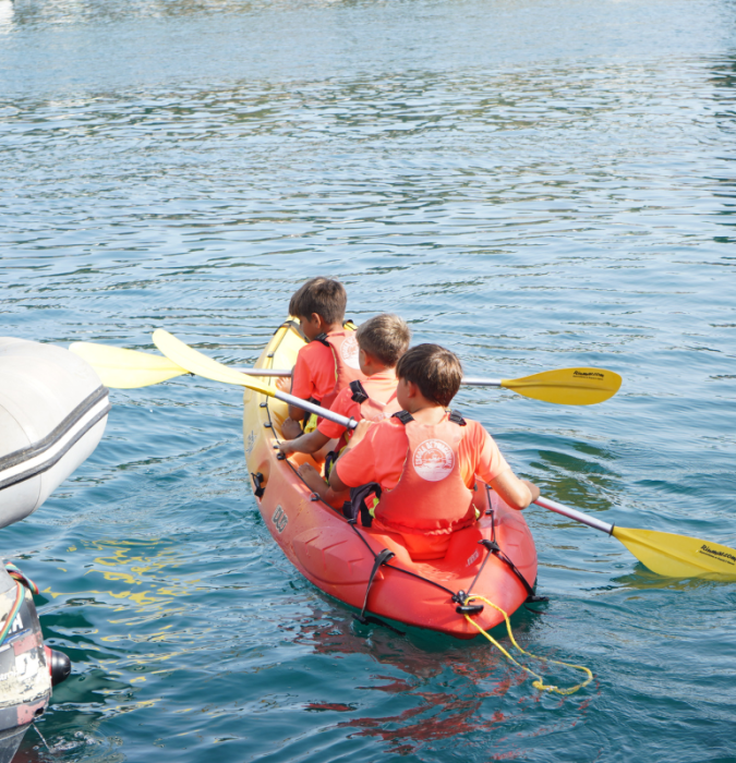 vine a remar